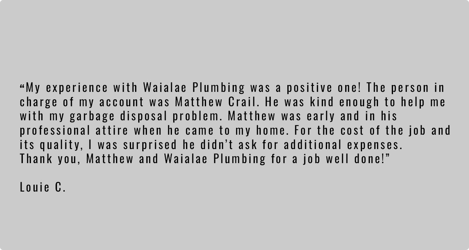 image of customer review for Wailae Plumbing