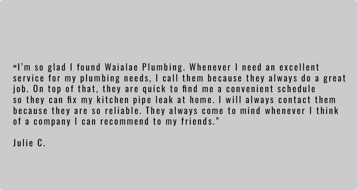 image of customer review for Wailae Plumbing