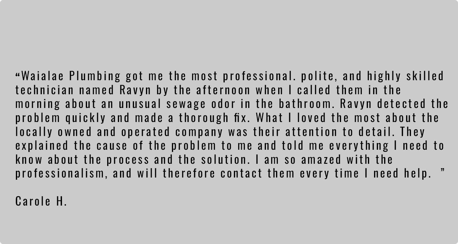 image of customer review for Wailae Plumbing